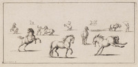 TvB G 5498
<br/>
Studieblad van paarden (3)
<br/>
<em>Leclerc, Sebastiaan I (1637-1714)</em>